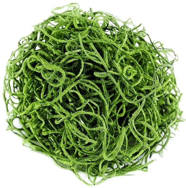 SUPERMOSS (26907) SPANISH MOSS PRESERVED, GRASS, 4OZ, 120 CUBIC IN BAG (APPX. 4OZ) (7 59834 26907 6)