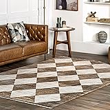 nuLOOM Fringed Performance Indoor Area Rug, Power