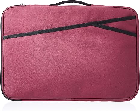 amazonbasics laptop case