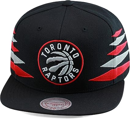 toronto raptors hat amazon