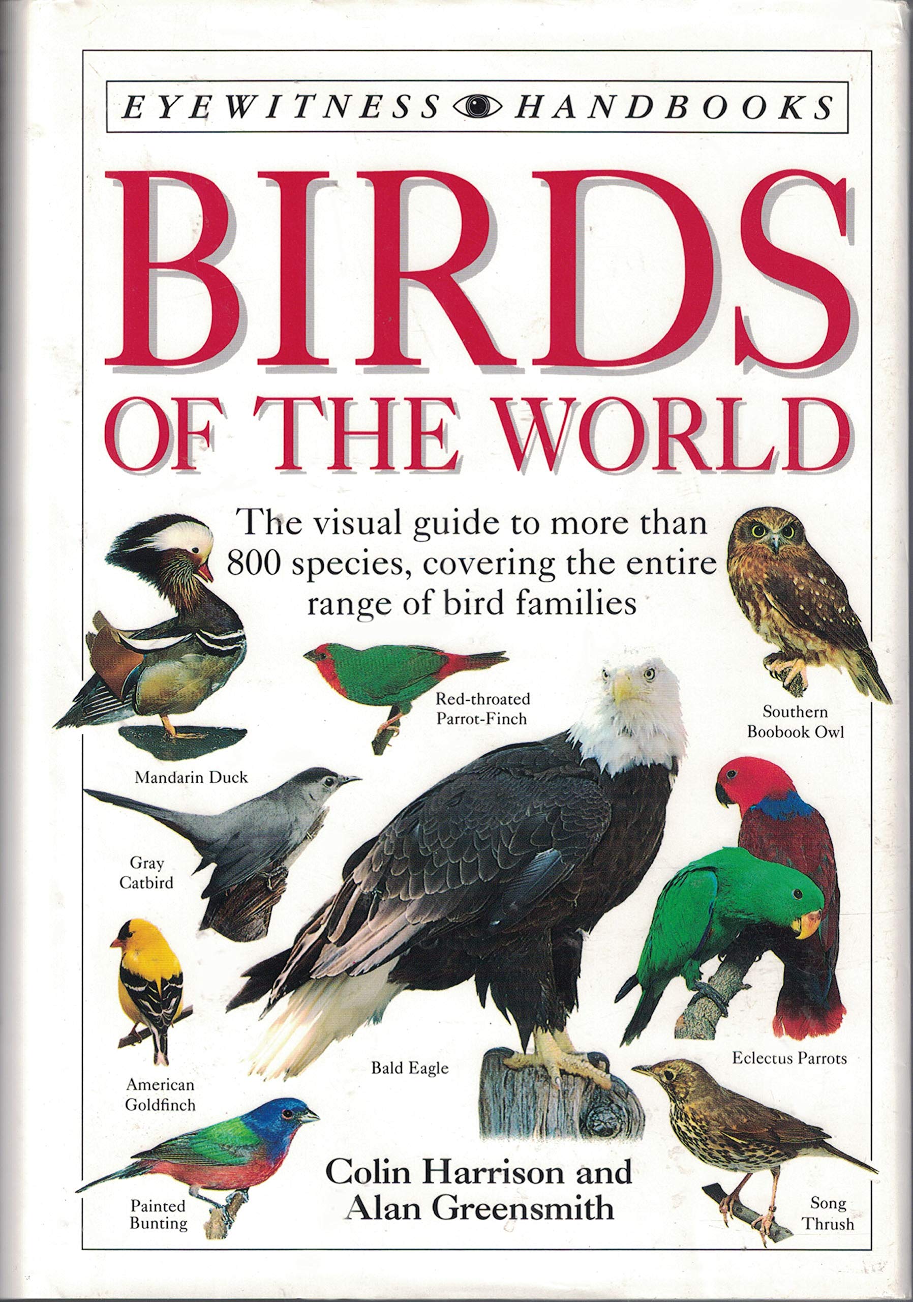 all birds of the world