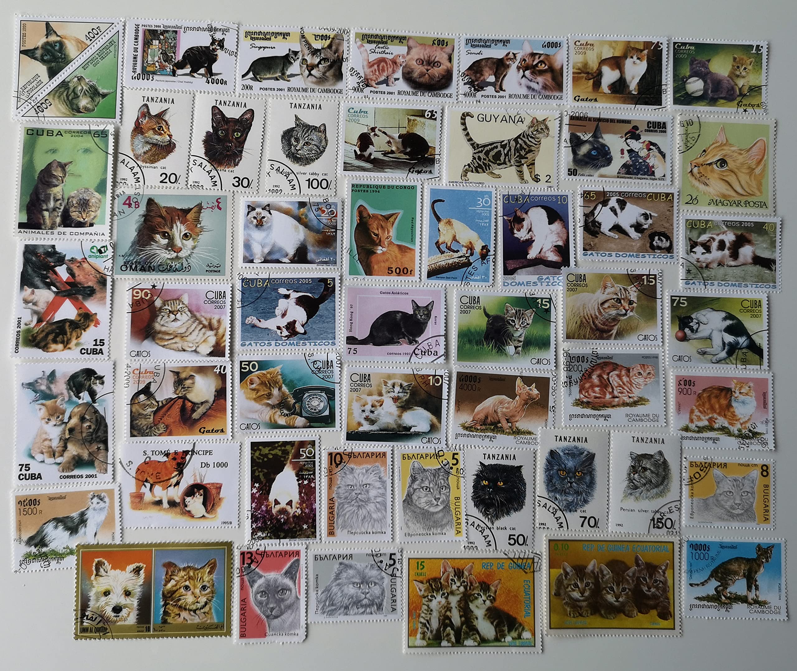 50 Different Domestic Cat Stamps Collection - Pets, Felines (Stamps for Collectors)