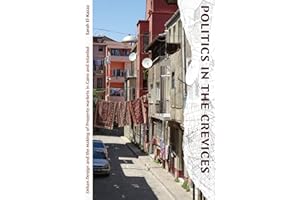 Politics in the Crevices: Urban Design and the Making of Property Markets in Cairo and Istanbul