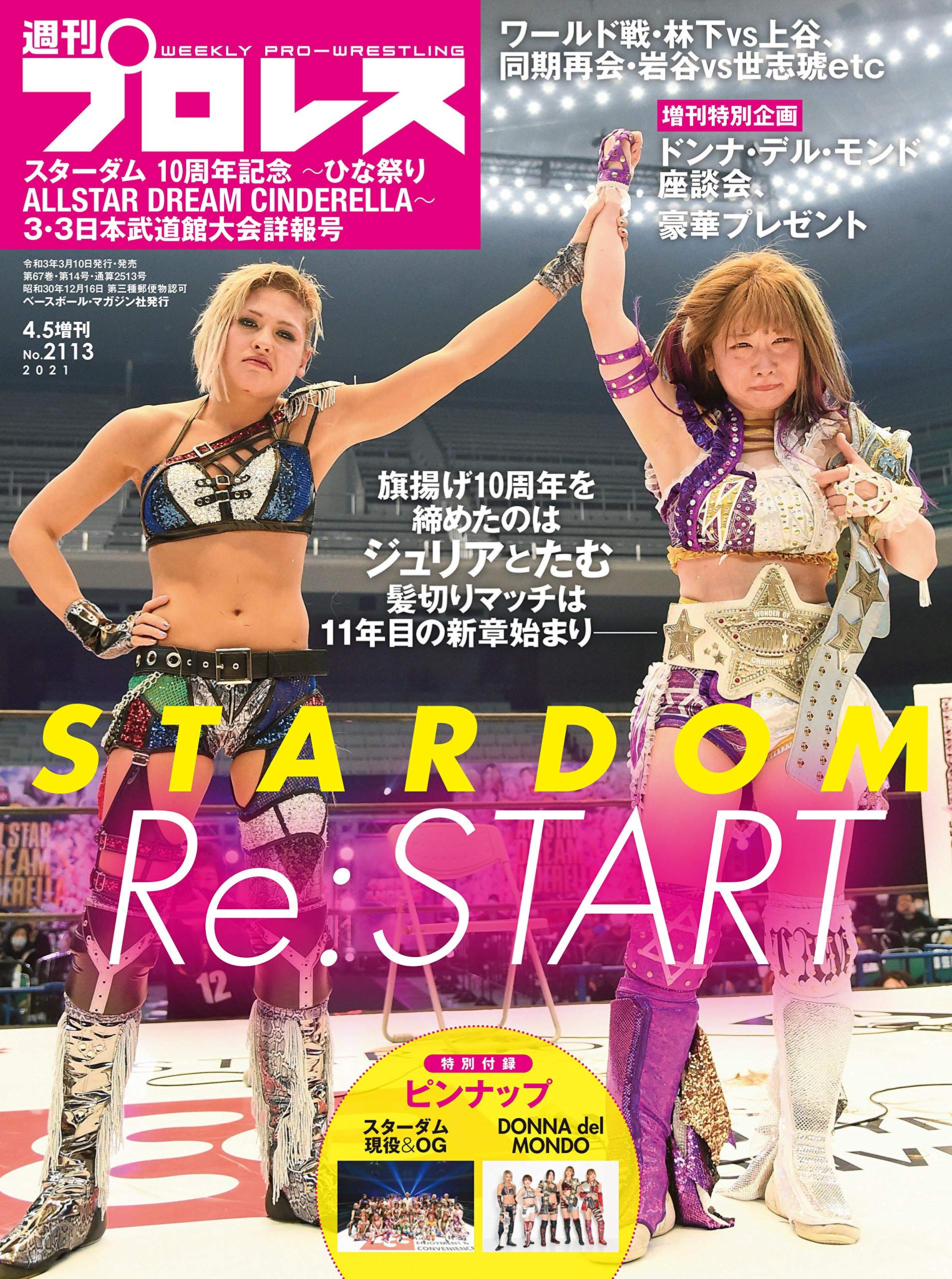 スターダム10周年記念 3 3日本武道館大会詳報号 特別付録 ピンナップ スターダム現役 Og Donna Del Mondo 週刊プロレス 21年 4 5 号増刊 週刊プロレス編集部 本 通販 Amazon