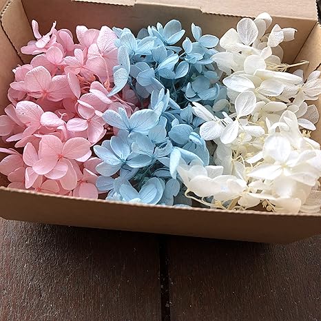 Amazon 3色セット アジサイ プリザーブドフラワー 紫陽花 ドライフラワー 花材 プリザーブドフラワー オンライン通販 Amazon 3色セット アジサイ プリザーブドフラワー 紫陽花 ドライフラワー 花材 プリザーブドフラワー オンライン通販