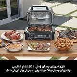 Ninja Woodfire Pro XL Electric BBQ Grill & Smoker 4 in 1 Grey/Black view 2