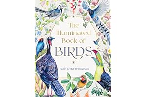 The Illuminated Book of Birds