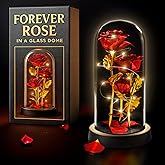 KETAR Rose in Glass Dome – LED Glass Rose Flower Lights, Romantic Flowers Roses for Home Decor, Beautiful Birthday Gifts for Women | Gifts for Mom, Grandma, & Girlfriend – Elegant Lighting Solution