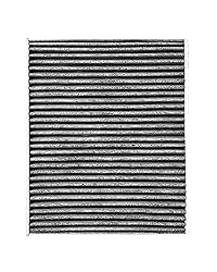 Spearhead Odor Defense Breathe Easy Cabin Filter