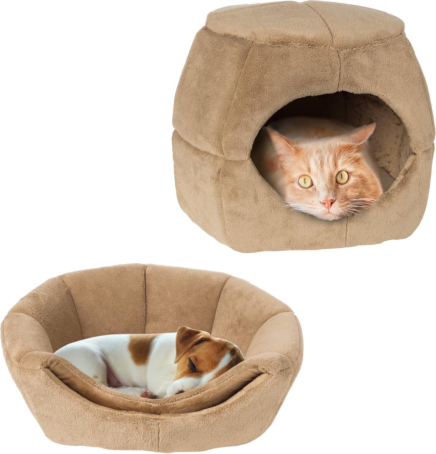 convertible cat bed