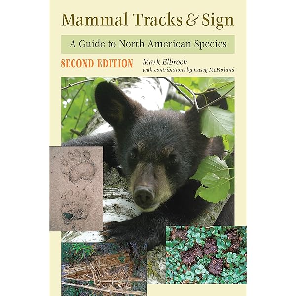 Lyster's International Wildlife Law - Kindle edition by Bowman