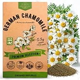 Organo Republic German Chamomile Seeds Pack 0.5 G - Over 5,900 Non-GMO Heirloom Chamomile Seeds for Planting Herbs in Individual Seed Packet, Herbs Seeds for Planting Home Indoor &amp; Outdoor Gardening