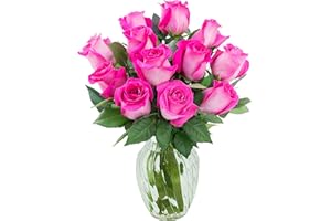 KaBloom Flowers - Mother's Day Collection - Bouquet of 12 Fresh Cut Pink Roses With Vase.Gift for Birthday, Anniversary, Get Well, Thank You, Valentine, Mother’s Day Fresh Flowers