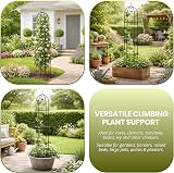Garden Mile 2x Large 2m Metal Garden Obelisk Plant Cage Climbing Support view 7