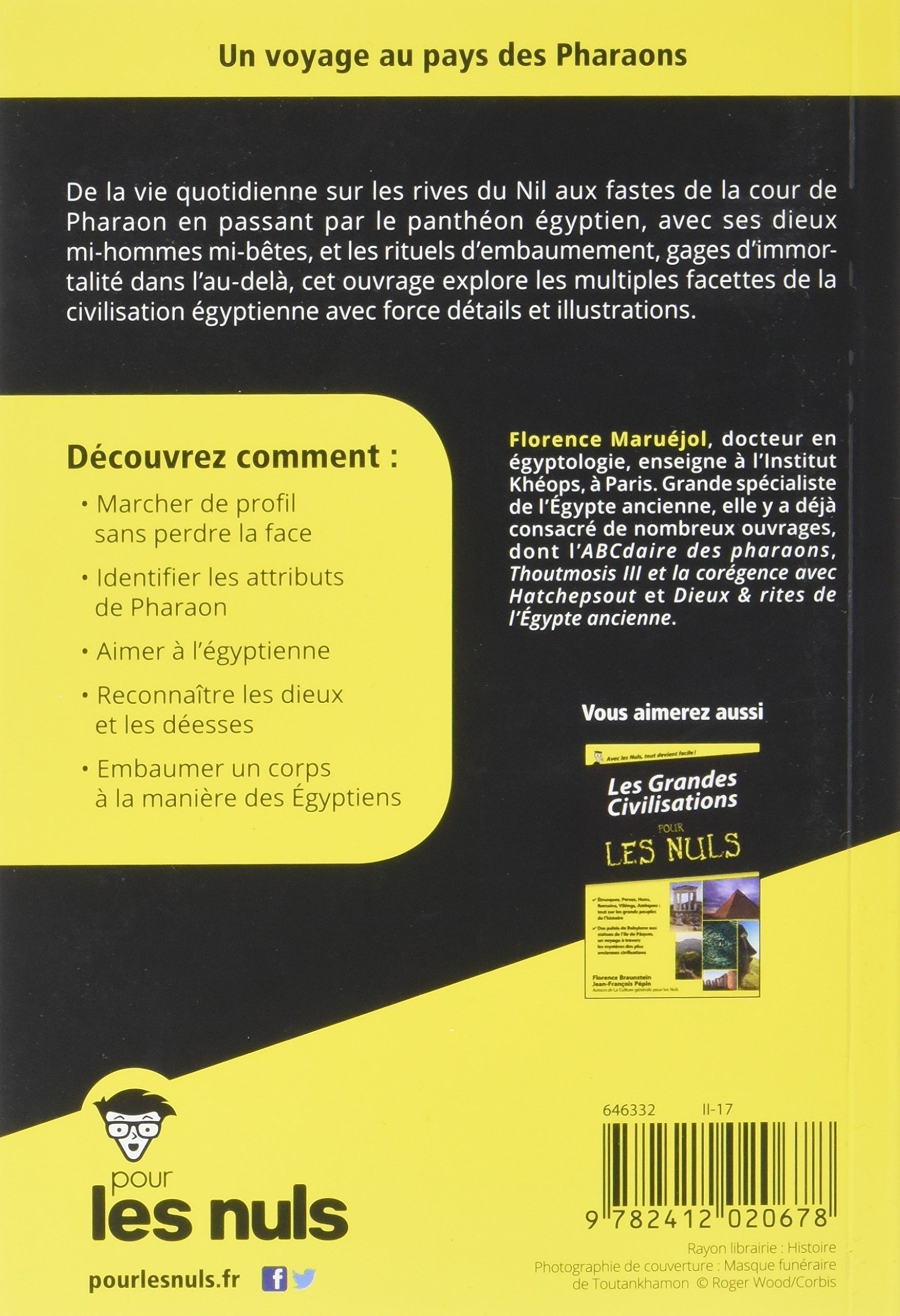 L Egypte Ancienne Pour Les Nuls Maruejol Florence Chalvin Marc Amazon Com Books L Egypte Ancienne Pour Les Nuls Maruejol Florence Chalvin Marc Amazon Com Books