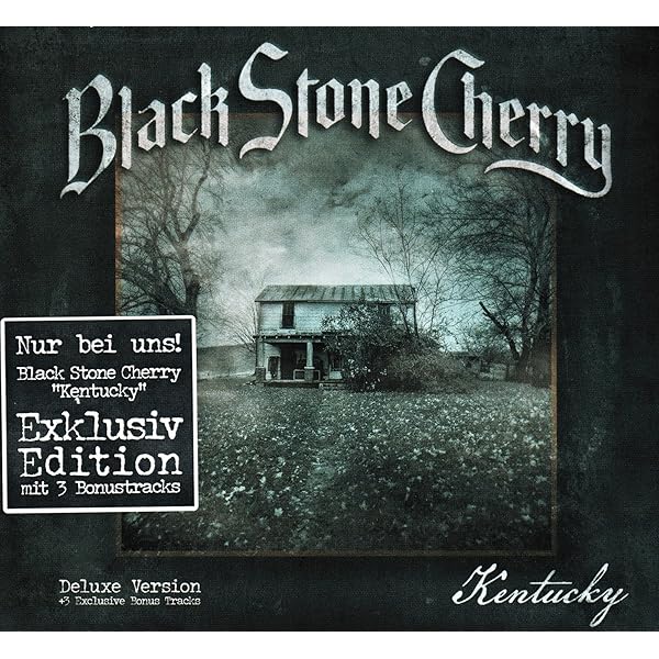 欧2LP Black Stone Cherry Folklore And Superstition MOVLP2431 Music On Vinyl, Road 未開封 /00660 Folklore And Superstition – Music On Vinyl