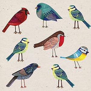 Decorative Paper Napkins Party Napkins Disposable Rustic Decor Luncheon Dessert Napkins Birds 6.5