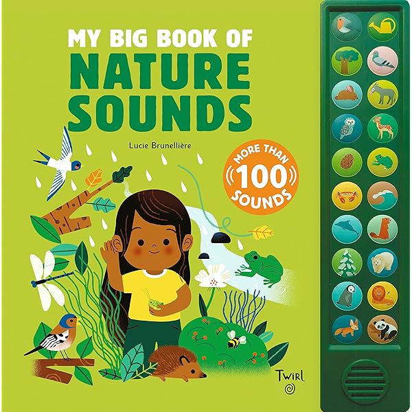 Amazon.com: My Big Book of Sounds: More Than 100 Sounds