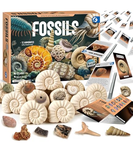 Amazon.com: Cra-Z-Art Super Dino Excavation Kit (12954) : Toys & Games