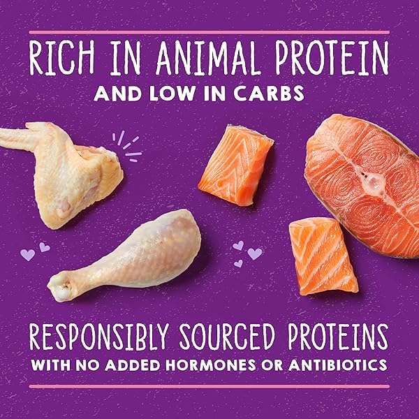 STELLA & CHEWY’S CARNIVORE CRAVINGS PURRFECT PATE CANS – GRAIN FREE, PROTEIN RICH WET CAT FOOD – CHICKEN & SALMON RECIPE – (5.2 OUNCE CANS, CASE OF 8)
