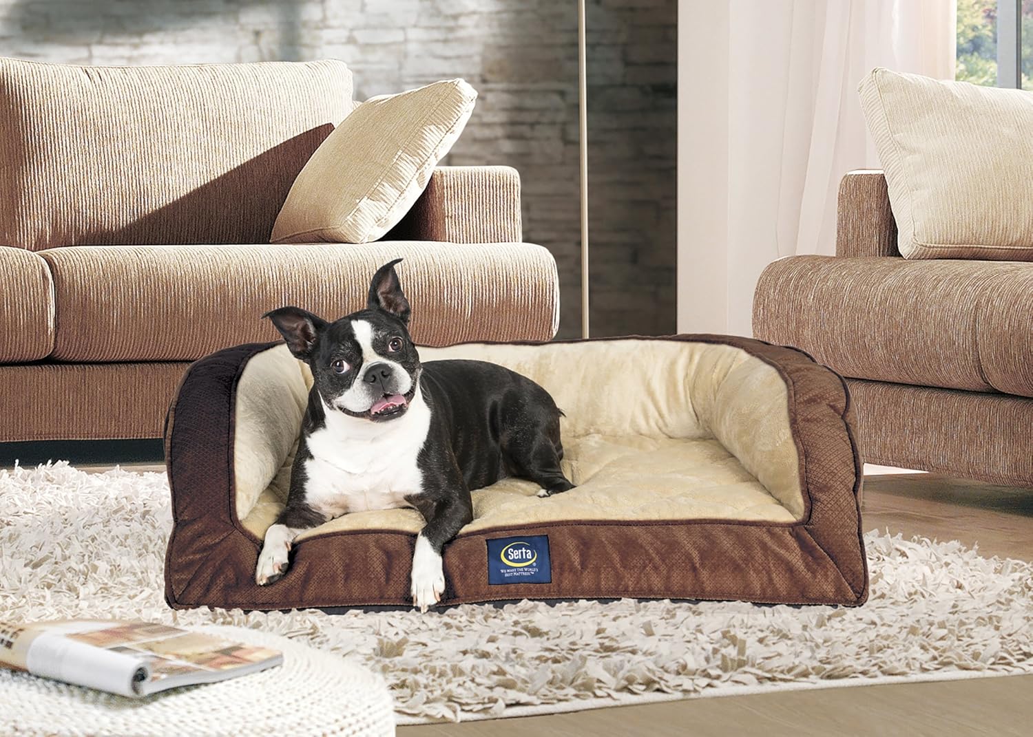 Best Couches for Dogs Top Dog Couches and Review