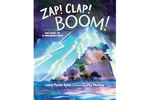 Zap! Clap! Boom!: The Story of a Thunderstorm