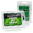 The Candle Daddy Fresh Cut Grass Golf Course Scented Melt- Maximum Scent Wax Cubes/Melts- 1 Pack -2 Ounces- 6 Cubes