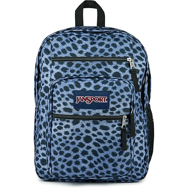 Amazon.com | JanSport Main Campus Backpack - Travel or Work