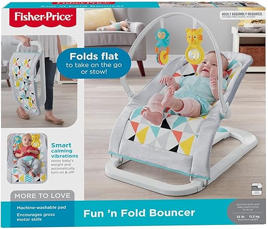 fisher price fold flat bouncer