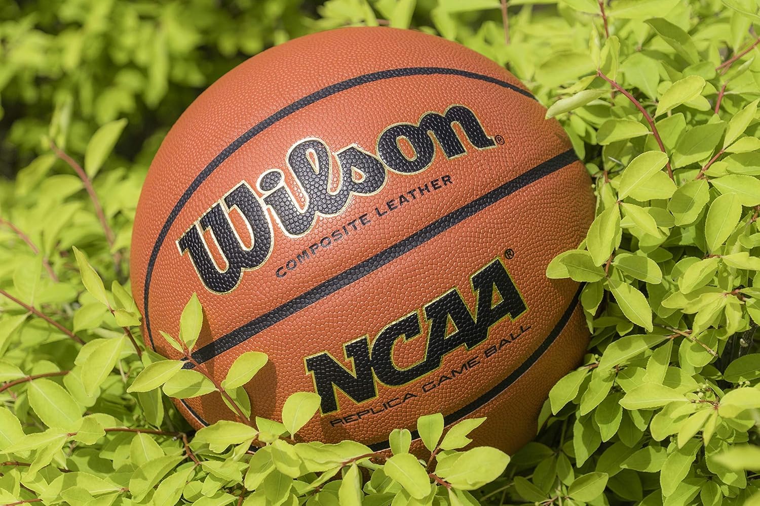 Wilson NCAA Indoor/Outdoor Basketball : Sports & Outdoors