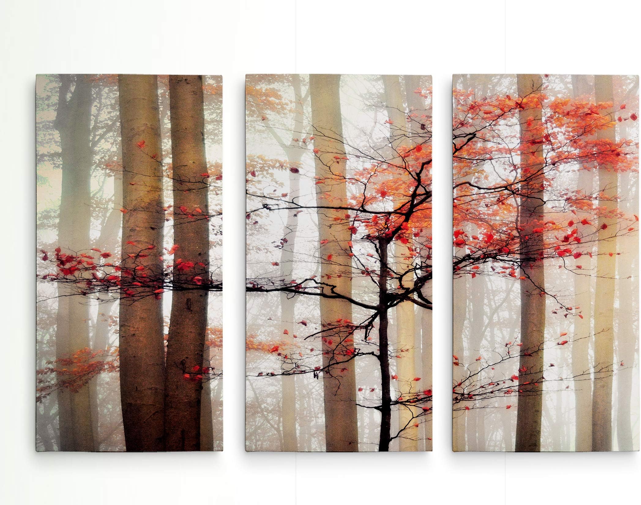 Renditions Gallery Orange Awakening 3 Piece Nature Forest Lanscape Theme Wall Art for Home, Office, Bedroom 16"x32"x3 Panels