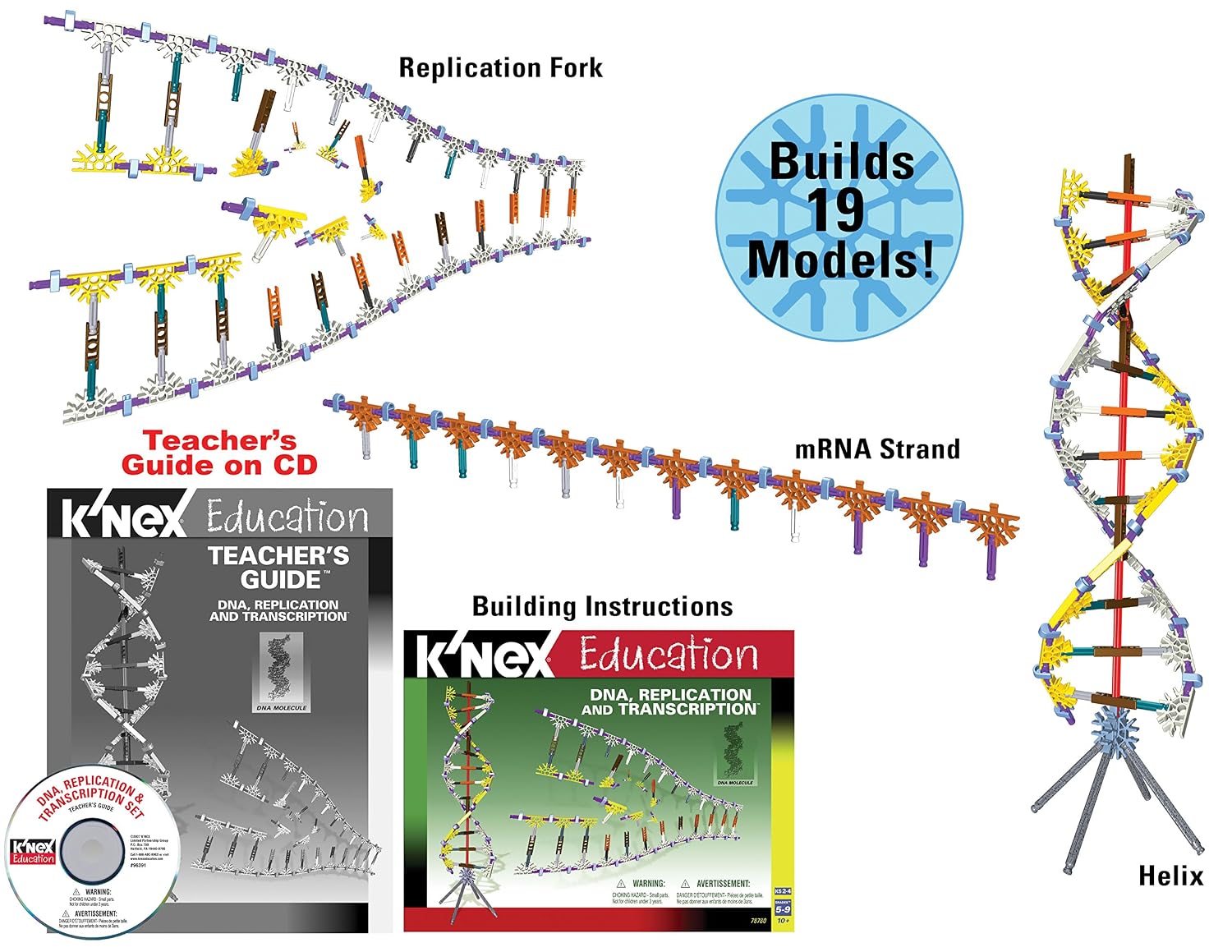 k nex education dna replication and