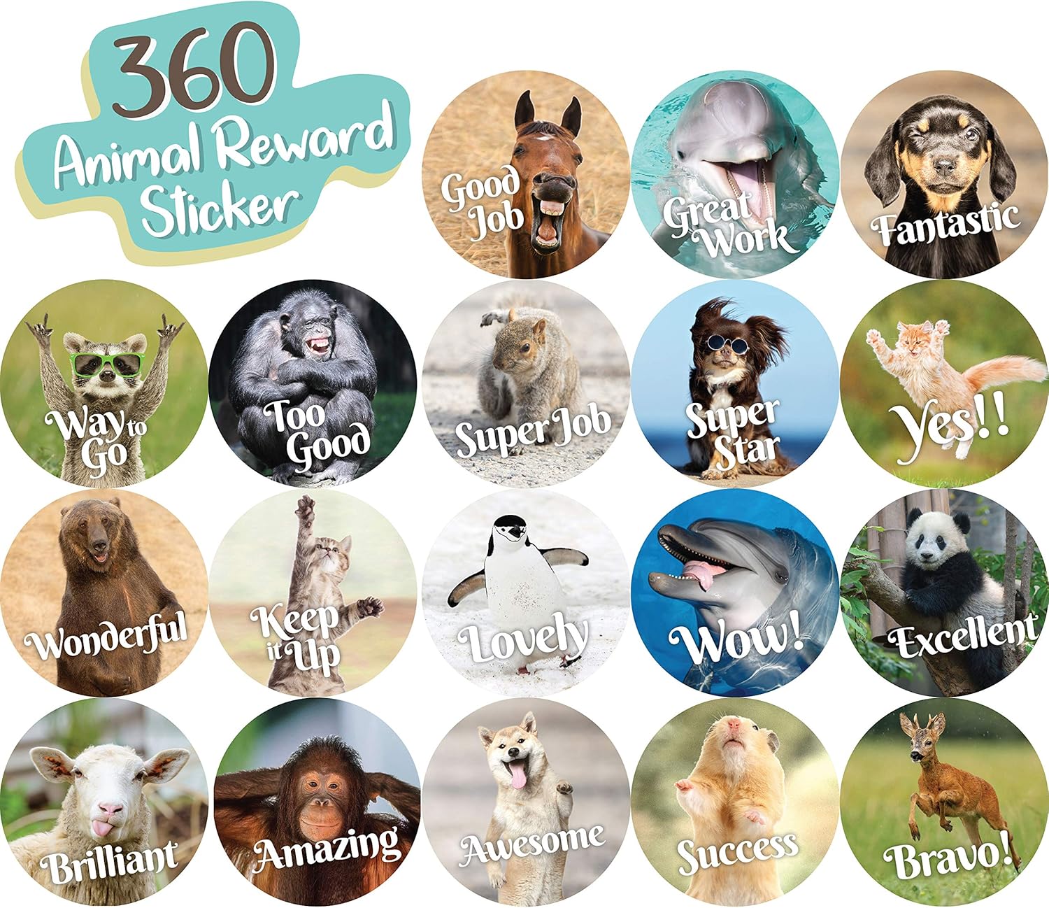 360 Labels In Sheets Reward And Motivational Stickers 18 Different Fun Animal Meme Theme Designs Recommended For All Ages And Classes 1 Inch Round Size Education Crafts Office Products Ilsr Org