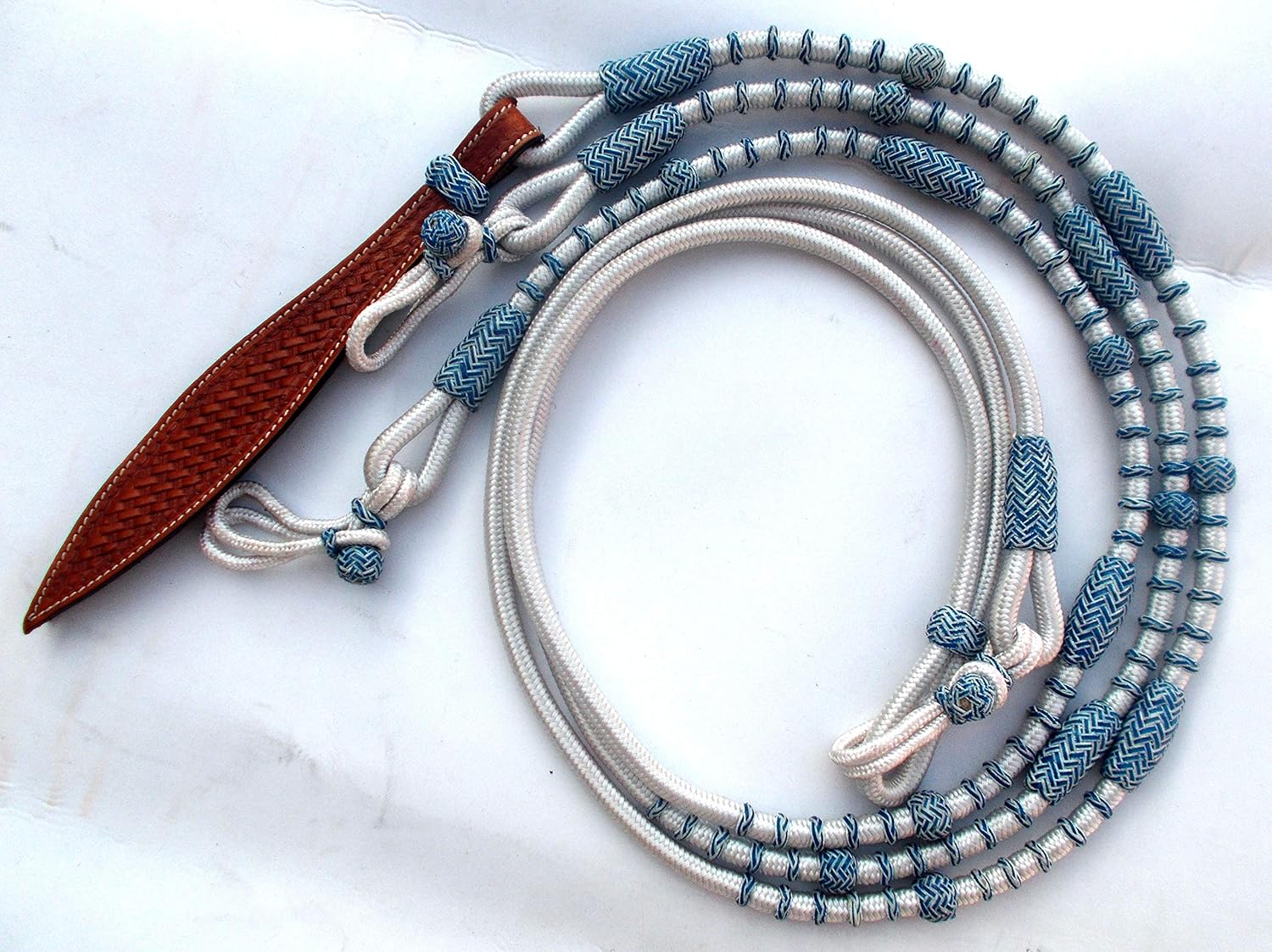 small komodo dragon pet