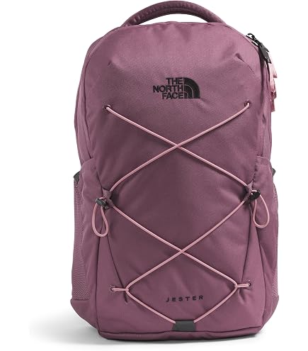 The North Face Recon Laptop Pack, Chroma Purp Lt Hth/Hushed Lavender, OSFA