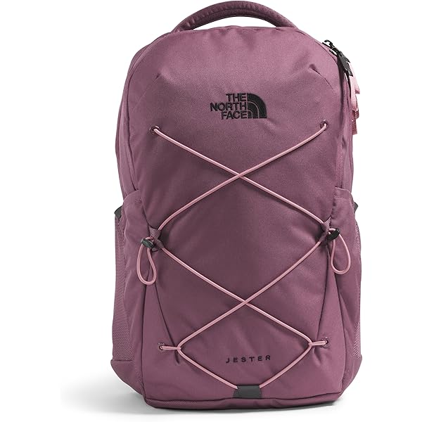 バッグ PALACE The North Face Purple Backpack Buy Palace x The North Face Purple Label Cordura Nylon Day Pack