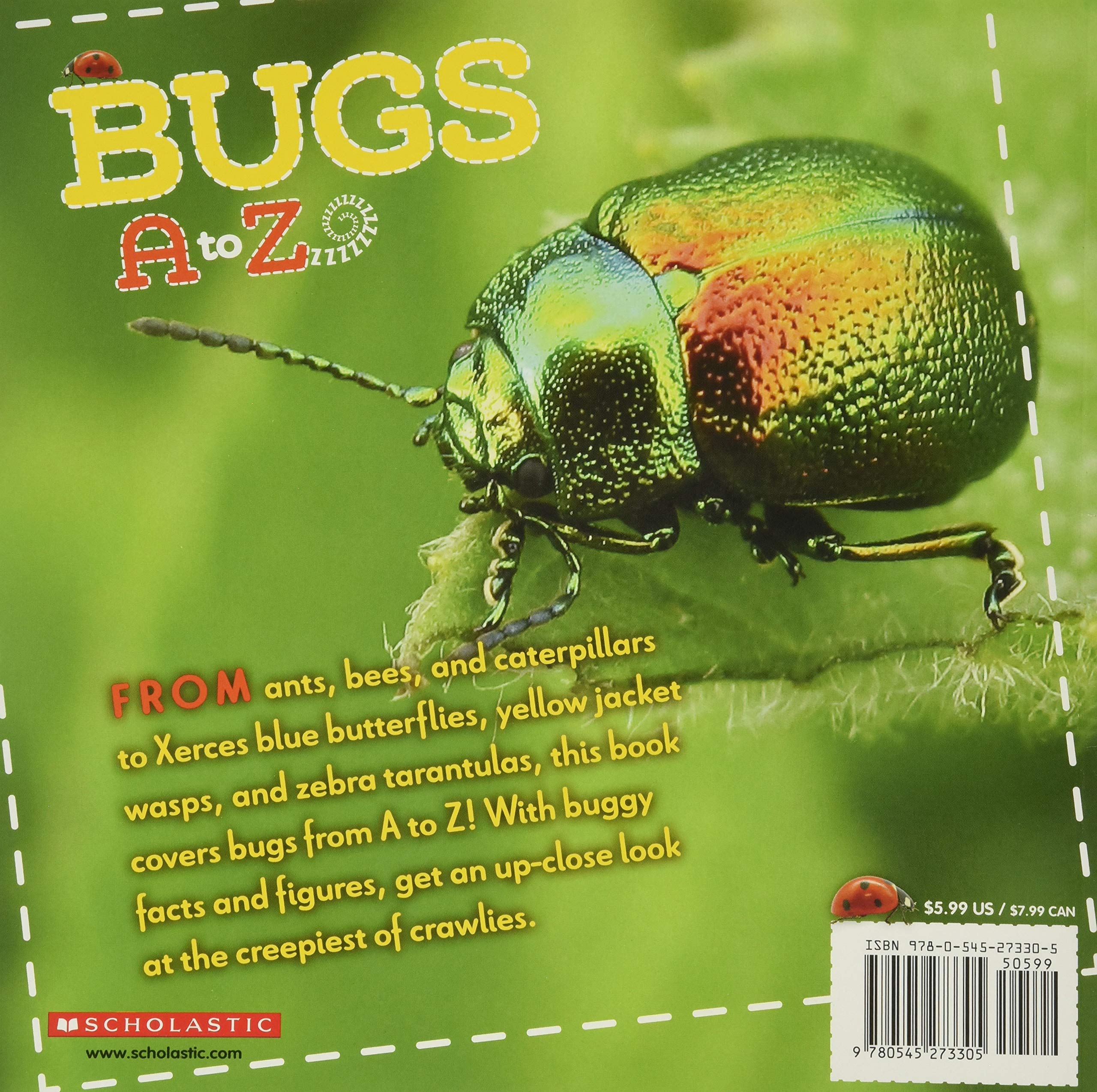 Bugs A To Z Lawton Caroline 9780545273305 Amazon Com Books