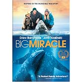 Big Miracle