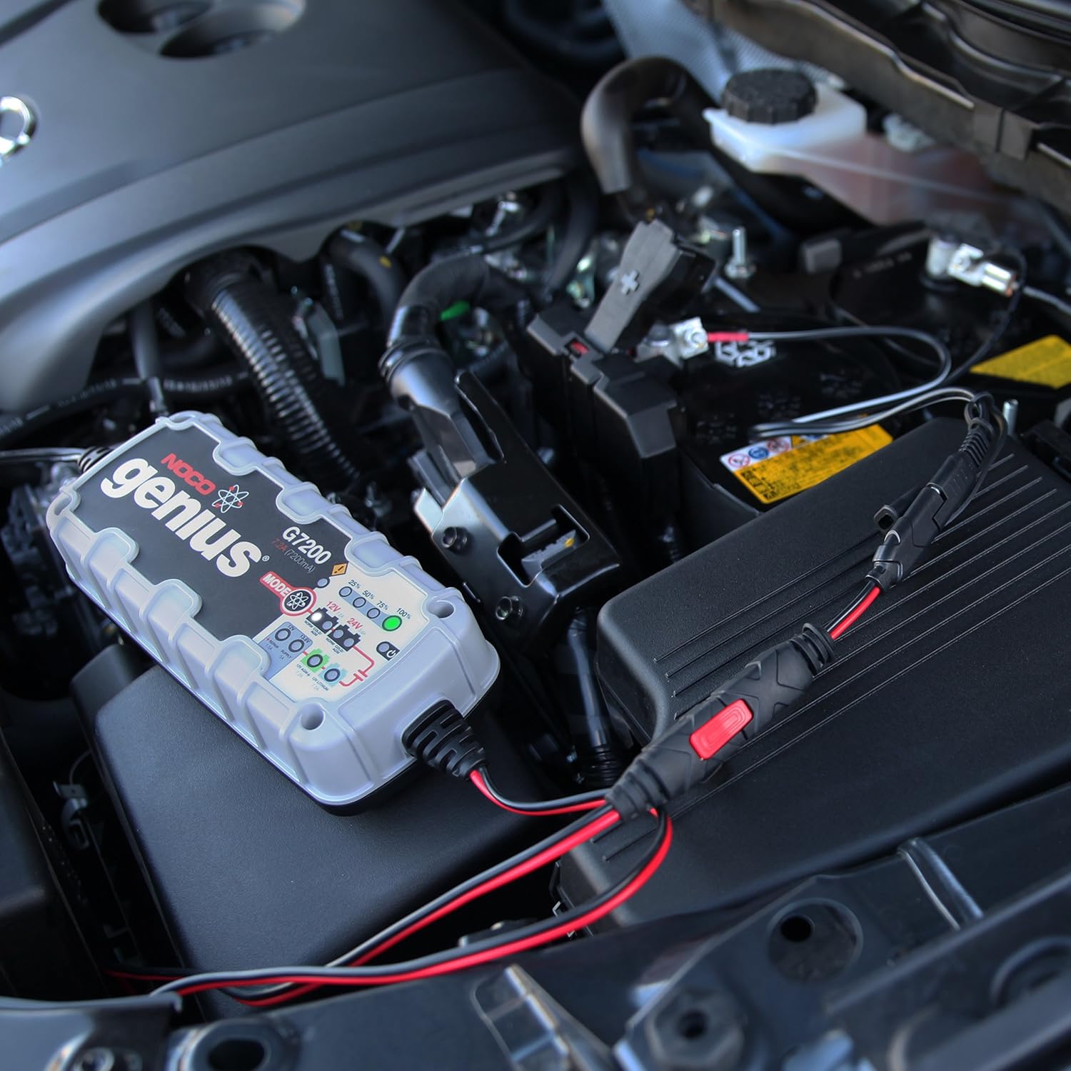 NOCO GC009 X-Connect SAE Adapter Accessory For NOCO Genius Smart Battery Chargers: Automotive