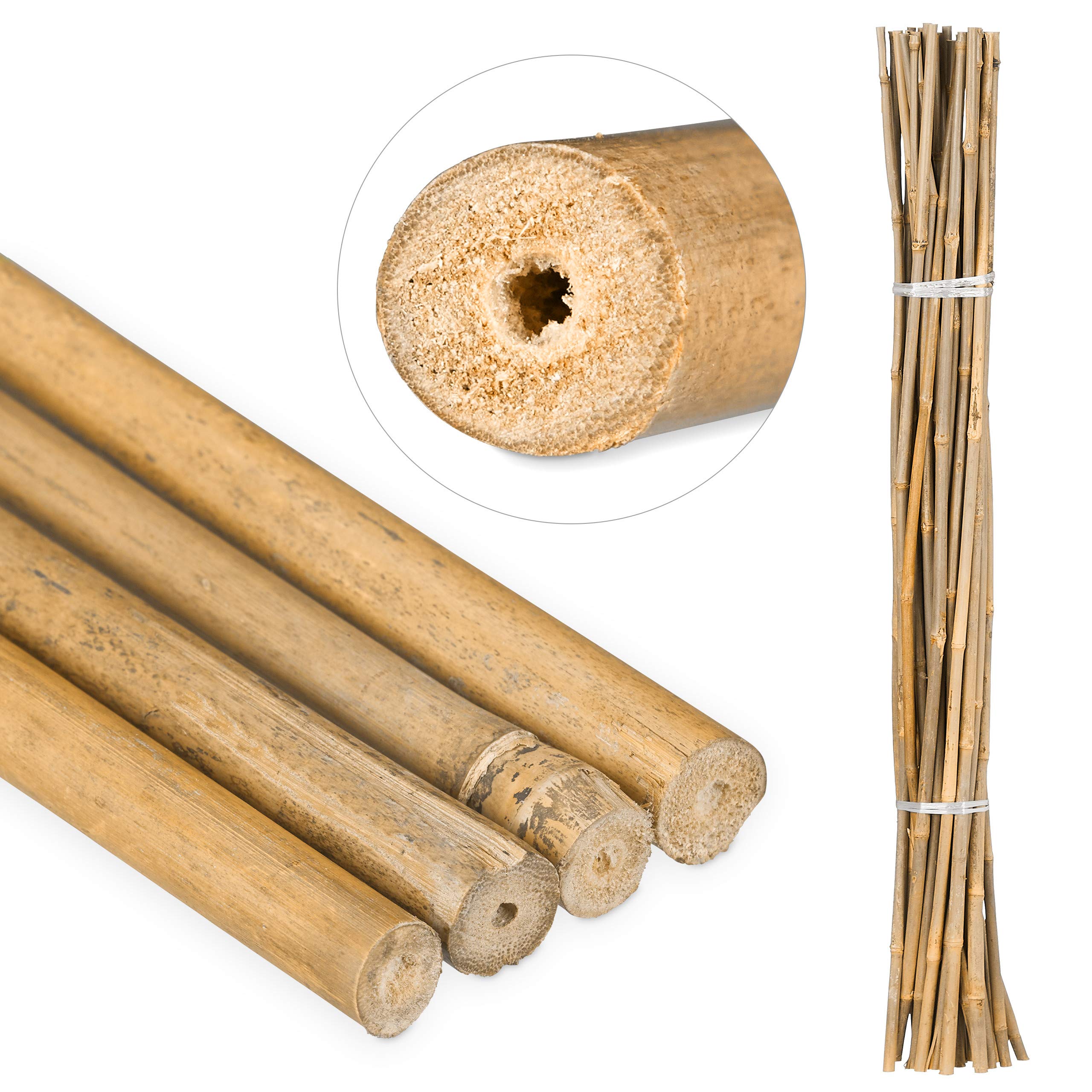Relaxdays Bamboo Canes 105 cm, Natural Bamboo Rods For Plant Support Or Decoration, For Crafts
