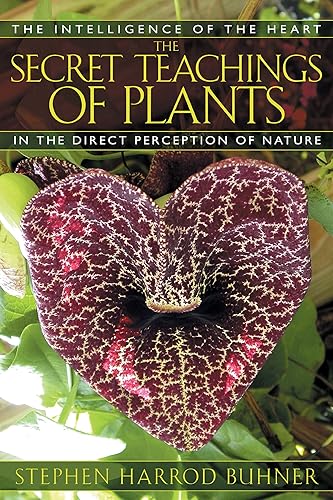 Download The Secret Teachings of Plants PDF