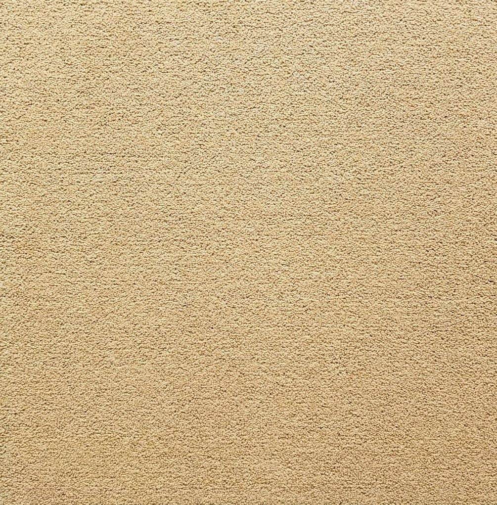 Shaw Midas Carpet Tile-24"x 24"(12 tiles/case, 48 sq. ft./case)