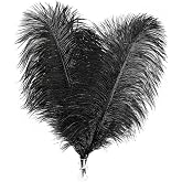 Soarer Black Ostrich Feathers Bulk for DIY Crafting,8-10Inch,30Pcs | Small Ostrich Feathers Plumes for Centerpiece,Halloween,1920s Wedding Home Holiday Party Costume Decor and Flower Arrangement