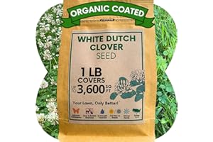 Flawn Seed Kits White Dutch Clover Seed, 1 Lb, Organic Coated, Natural Lawn, Ground Cover, Hunting Food Plot, Covers up to 3,600 Sqft