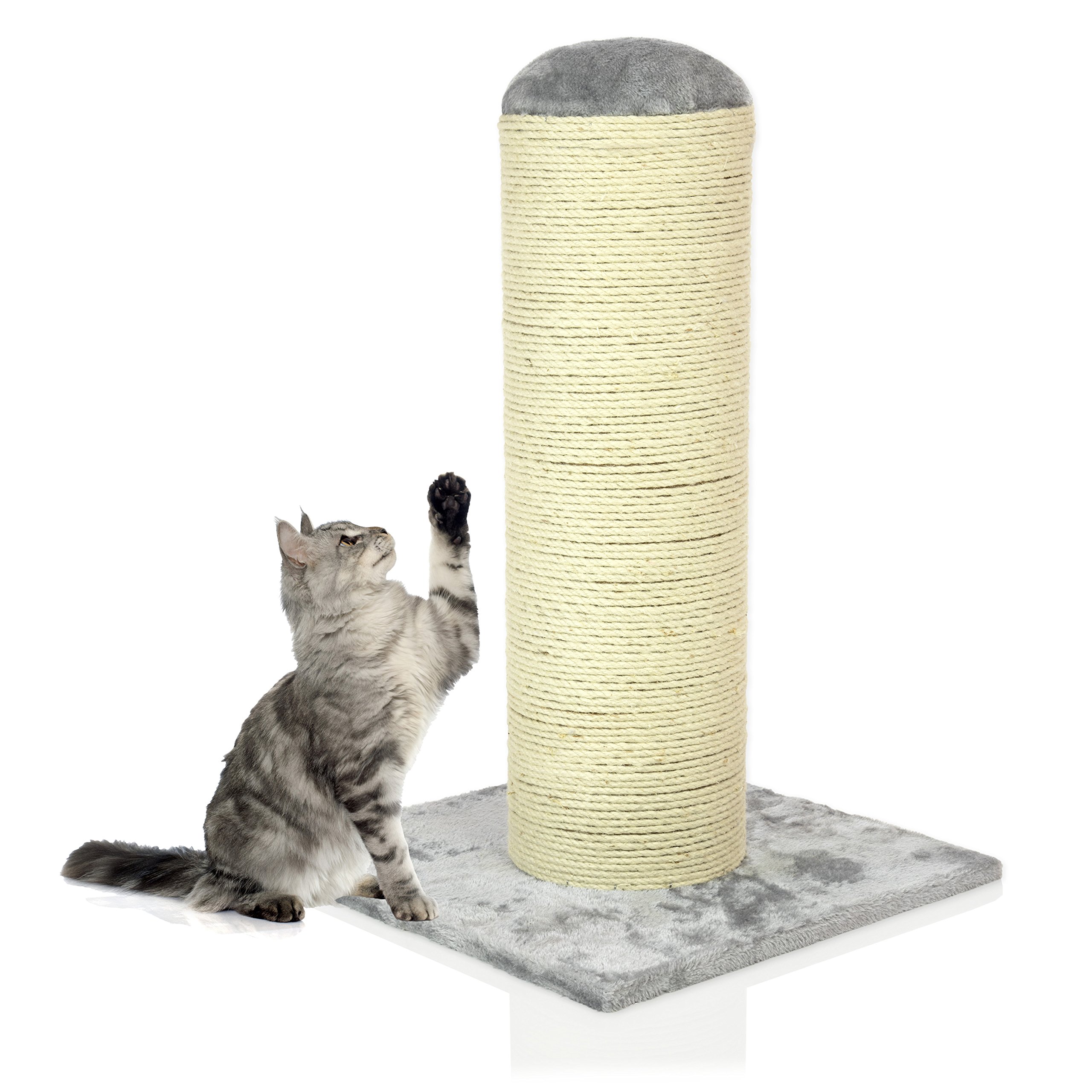 big cat scratching post