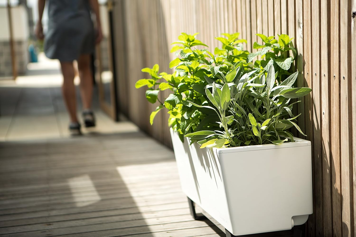 Glowpear Self-Watering Mini Bench Planter : Garden & Outdoor