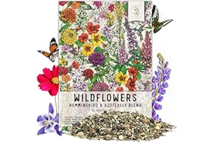 Seed Needs, Package of 15,000+ Hummingbird and Butterfly Garden Wildflower Seed Mixture for Planting (99% Pure Live Seed- NO 
