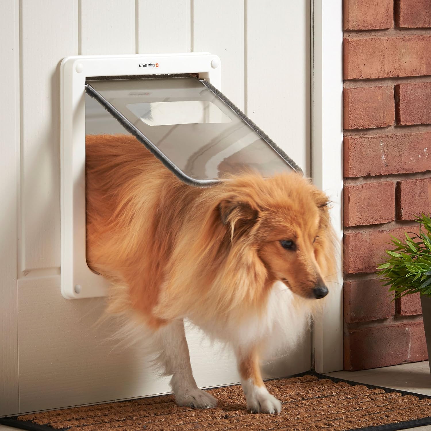 draught proof dog flap