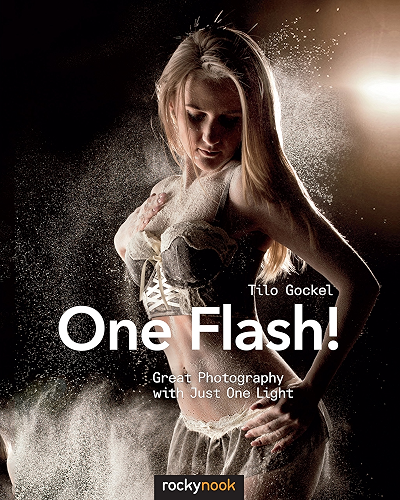 Download One Flash!: Great Photography with Just One Light (English Edition) PDF