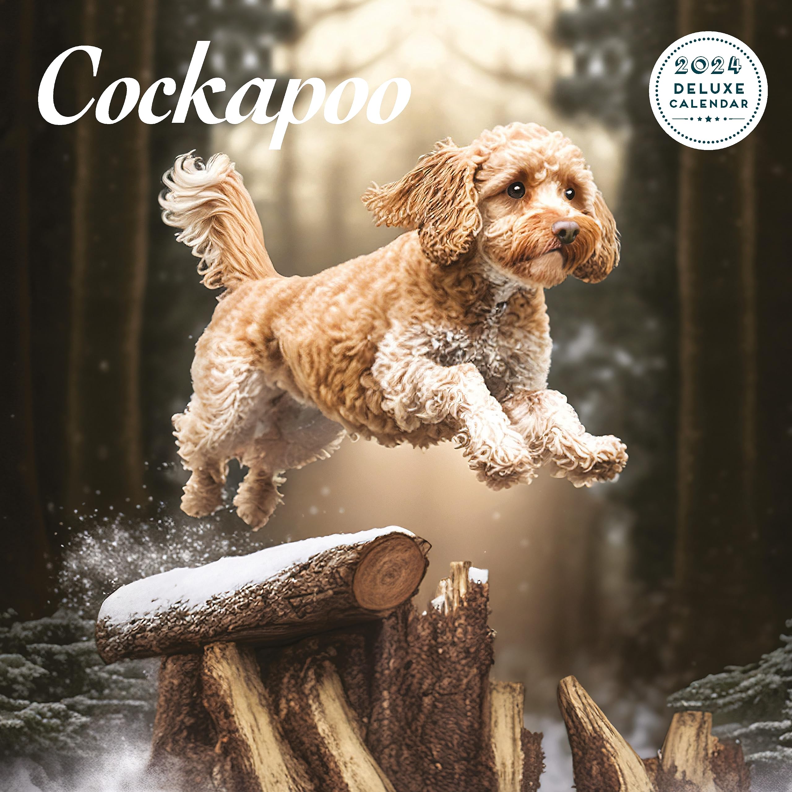 Cockapoo Deluxe 2024 Calendar